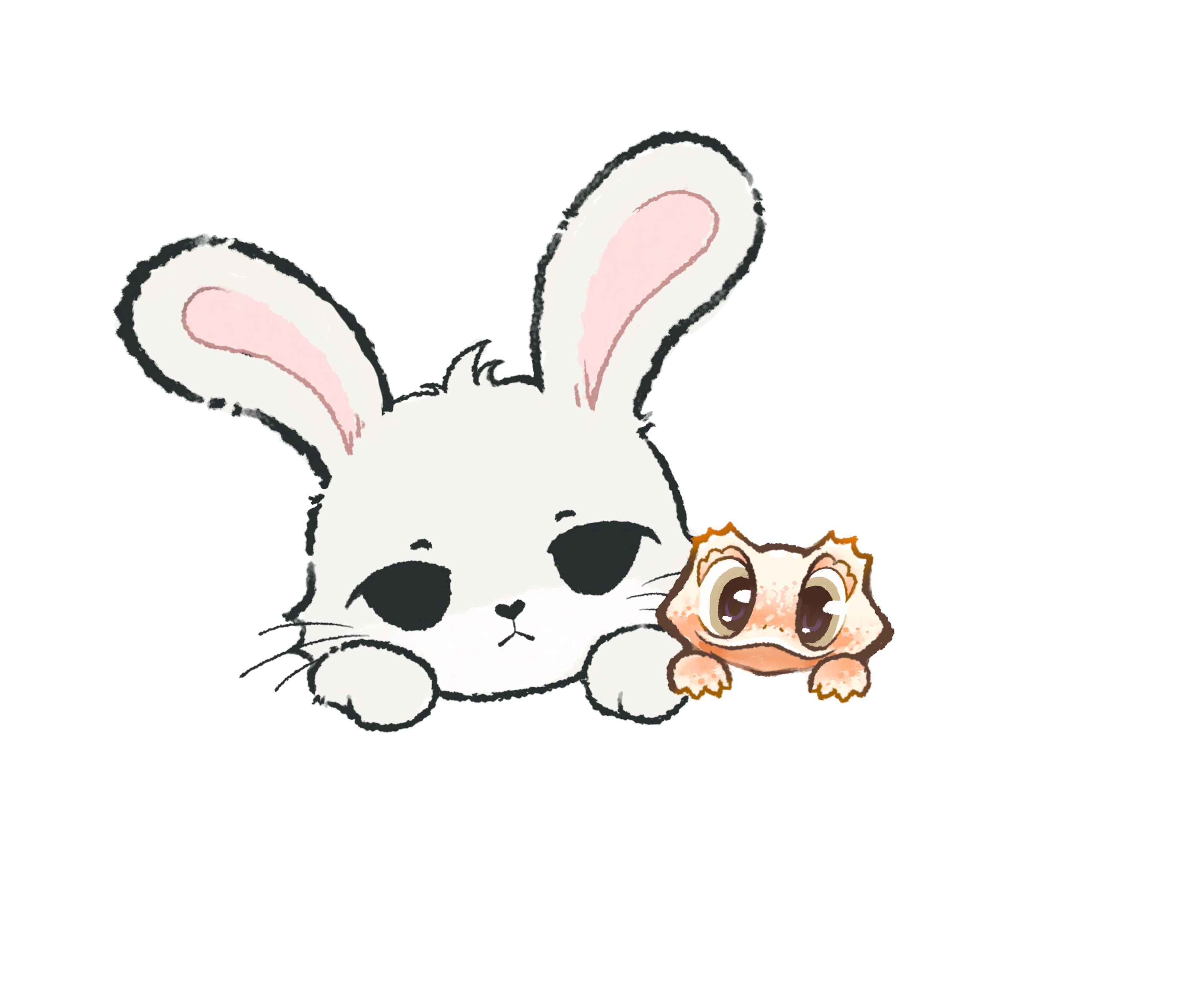 Pico & Nola