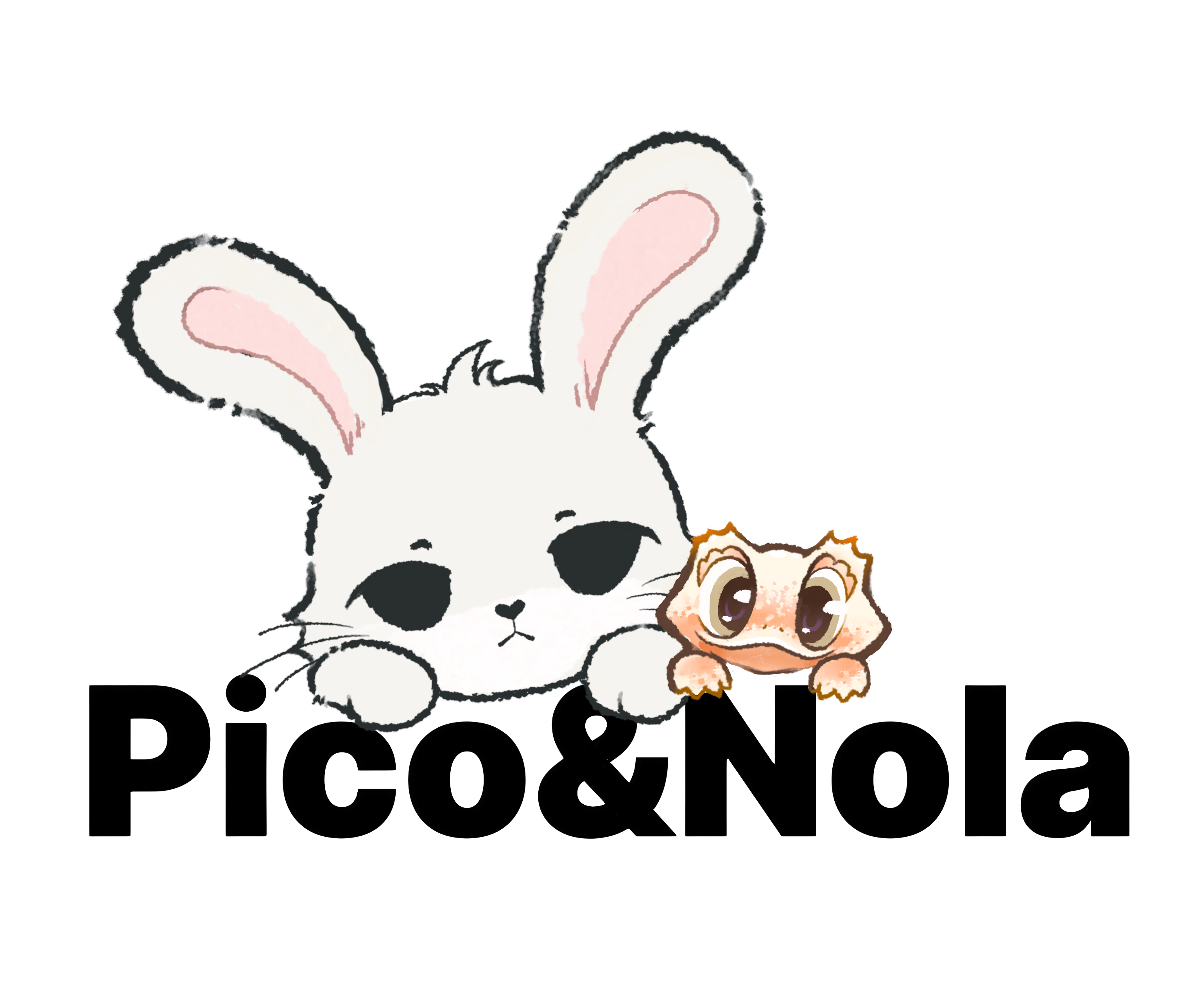 Pico&Nola